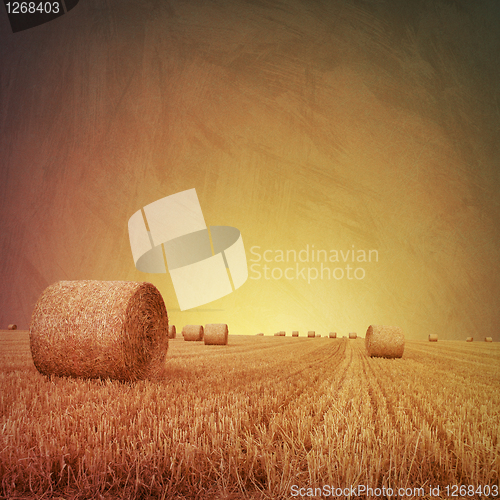 Image of Straw Bales