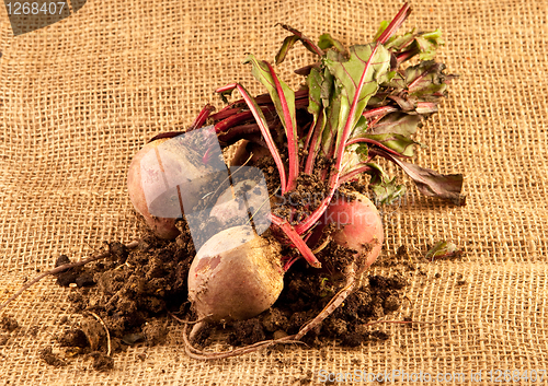 Image of beetroot