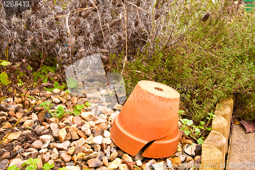 Image of terracotta pot