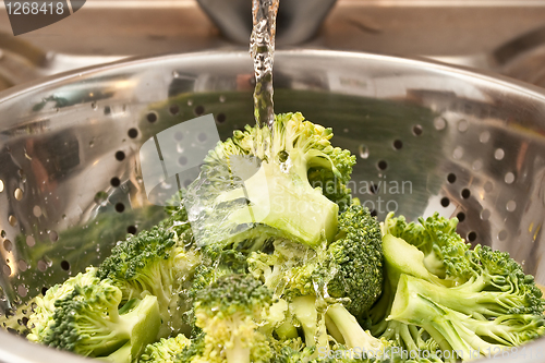 Image of broccoli