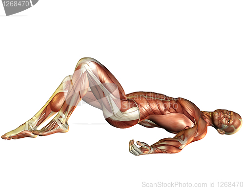 Image of Muscle man lying