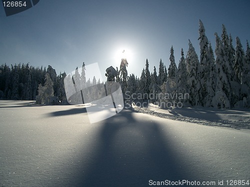 Image of Winter in Nordmarka