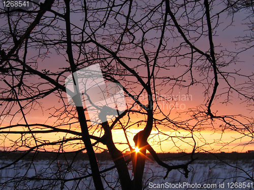 Image of sunset background with tree