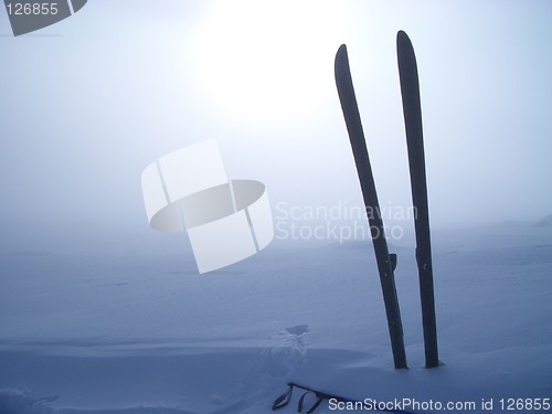 Image of Cross country ski