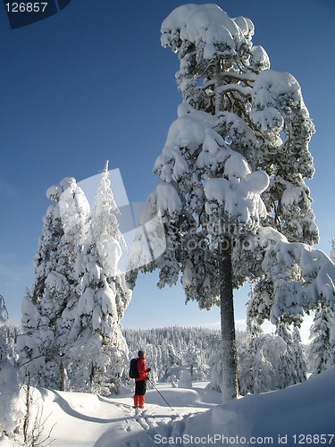 Image of Winterland