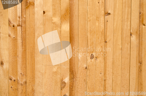Image of Texture of pine wood