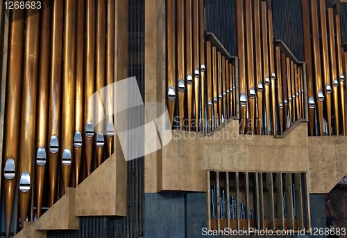 Image of organ