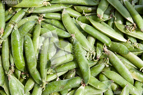 Image of background peppers pea