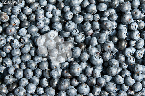 Image of blueberries