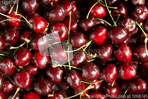 Image of background of black cherry