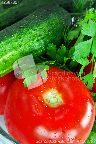 Image of Appetizing fresh vegetables