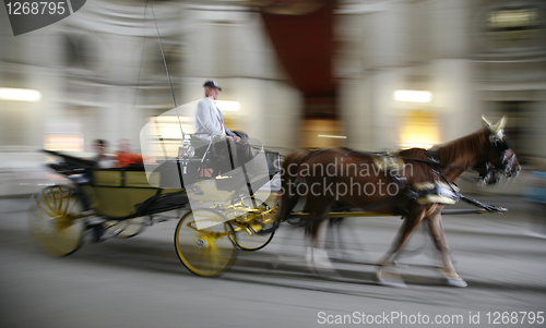 Image of Horse cab in action Vienna