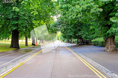 Image of Road trough wood