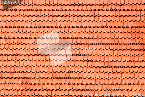 Image of Roof tile pattern