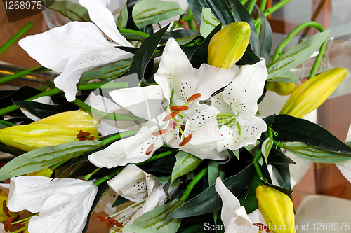 Image of Lilies