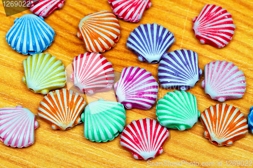 Image of Shells