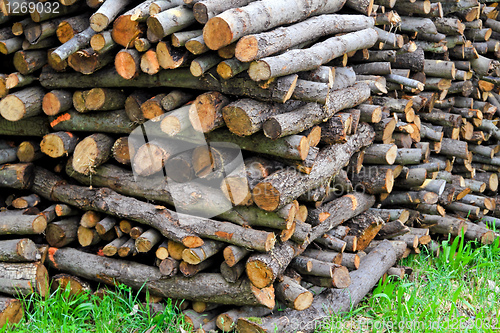 Image of Firewood