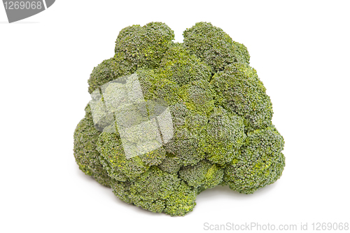 Image of Broccoli