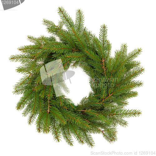 Image of Spruce Fir Pine Wreath