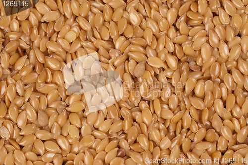 Image of Linseed