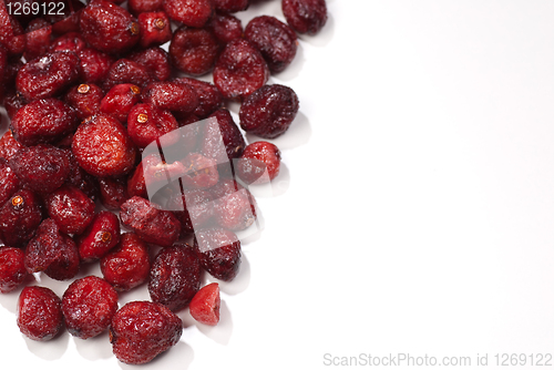 Image of Bilberries