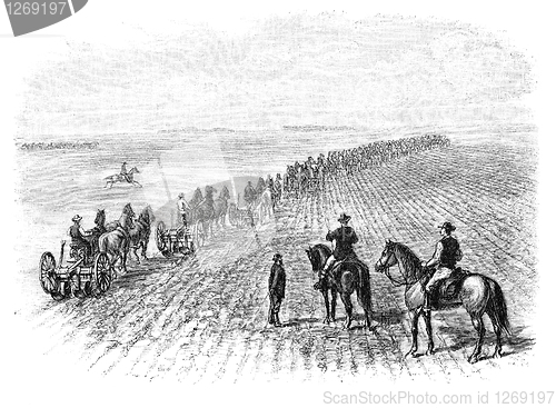 Image of Ploughing