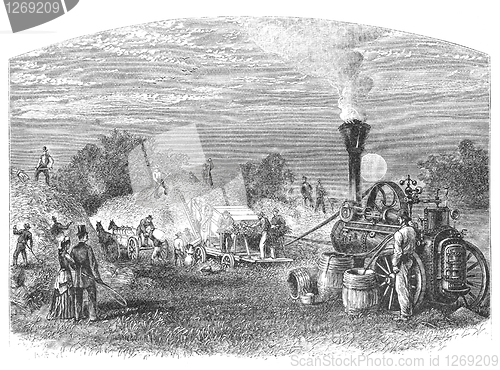 Image of Threshing