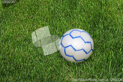 Image of Soccer Ball on the Lawn