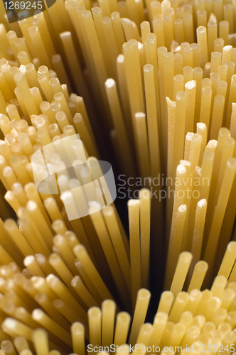 Image of spaghetti