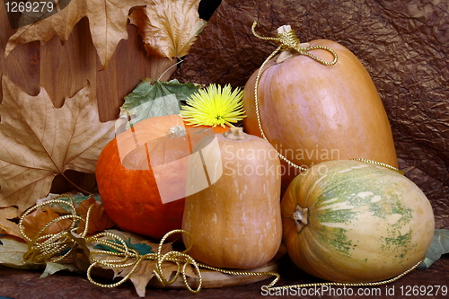 Image of Autumn still life with pumpkins.