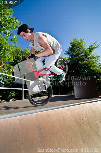 Image of BMX Bike Stunt