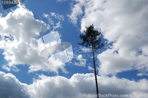 Image of high and dry