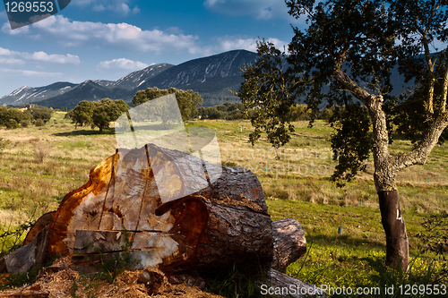 Image of Landscape on the National Park Arrabida