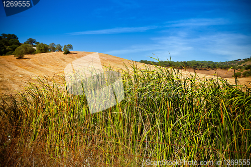 Image of Landscape on the National park Arrabida.