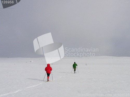 Image of desolate skiers