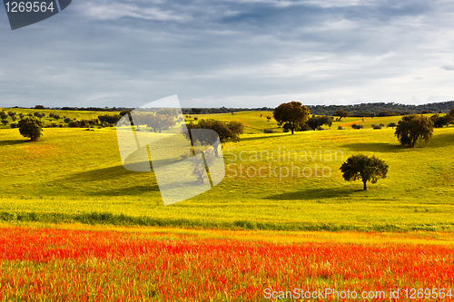 Image of Greenfield at the beginning of spring.