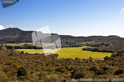 Image of National park Arrabida.