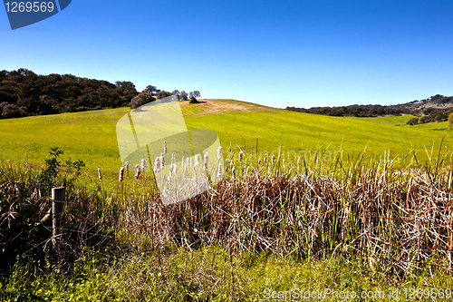 Image of Countryside with beautiful green field.