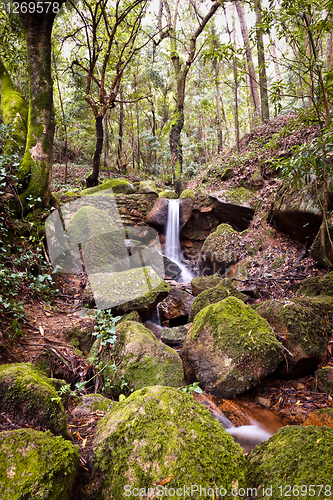 Image of Small natural waterfall.