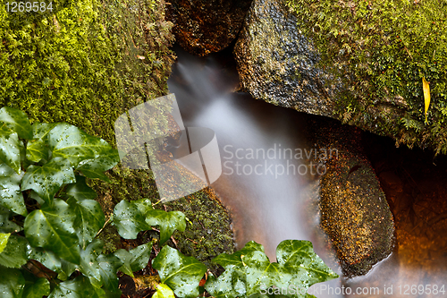 Image of Small natural waterfall.