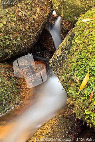 Image of Small natural waterfall.