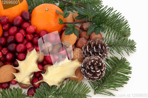 Image of Christmas Fruit, Nuts and Fauna
