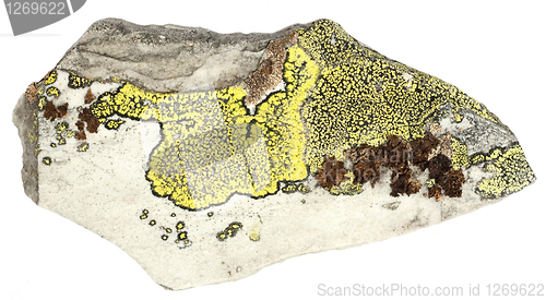 Image of Rock with lichen