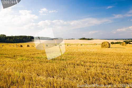 Image of Agriculture