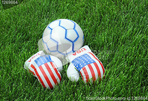 Image of Boxing Gloves and Soccer Ball on Green Lawn