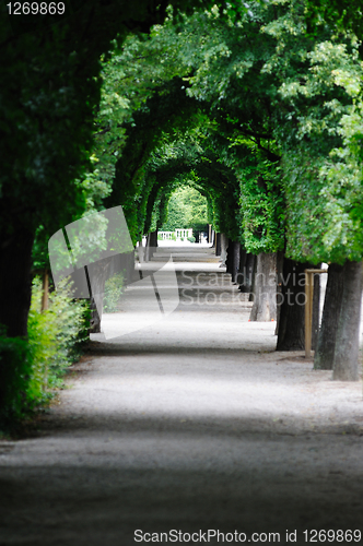 Image of Austria, Vienna, Schonbrunn Castle gardens