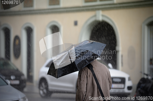 Image of Man walking with umbrella, rear view