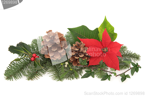 Image of Christmas Flora and Fauna