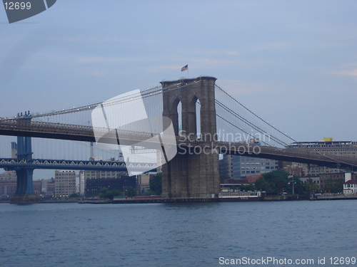 Image of Bridges in New York