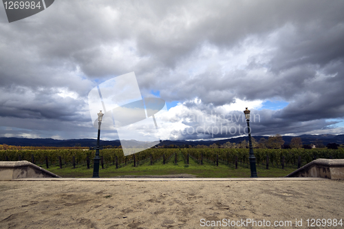 Image of Winery Estate